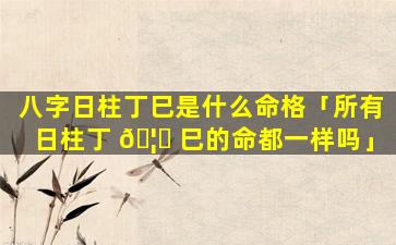 八字日柱丁巳是什么命格「所有日柱丁 🦟 巳的命都一样吗」